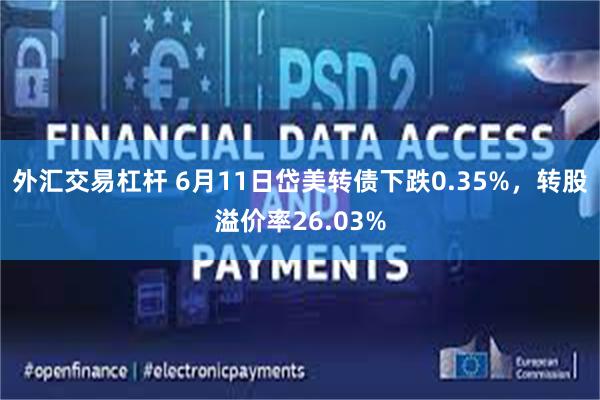 外汇交易杠杆 6月11日岱美转债下跌0.35%，转股溢价率26.03%