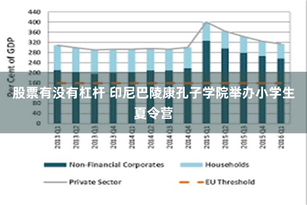 股票有没有杠杆 印尼巴陵康孔子学院举办小学生夏令营