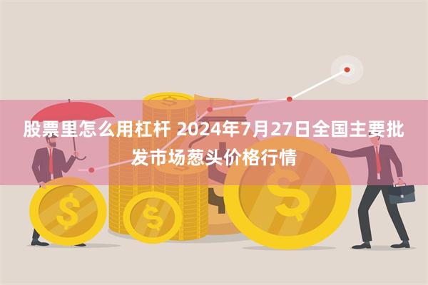 股票里怎么用杠杆 2024年7月27日全国主要批发市场葱头价格行情