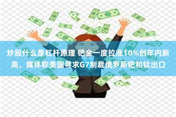 炒股什么是杠杆原理 钯金一度拉涨10%创年内新高，媒体称美国寻求G7制裁俄罗斯钯和钛出口