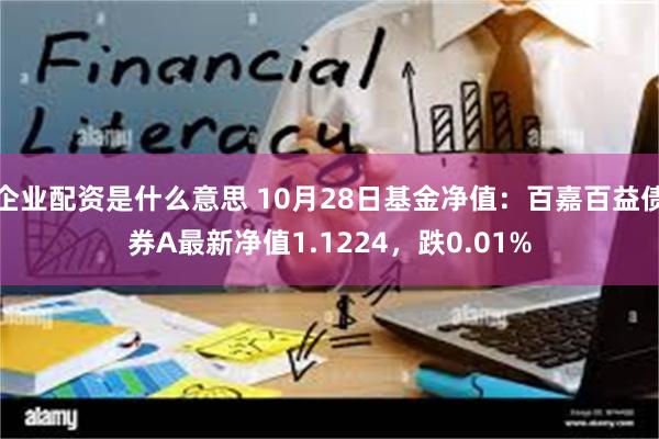 企业配资是什么意思 10月28日基金净值：百嘉百益债券A最新净值1.1224，跌0.01%