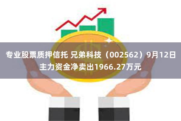 专业股票质押信托 兄弟科技（002562）9月12日主力资金净卖出1966.27万元