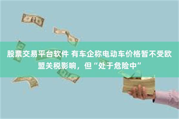 股票交易平台软件 有车企称电动车价格暂不受欧盟关税影响，但“处于危险中”