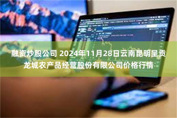 融资炒股公司 2024年11月28日云南昆明呈贡龙城农产品经营股份有限公司价格行情