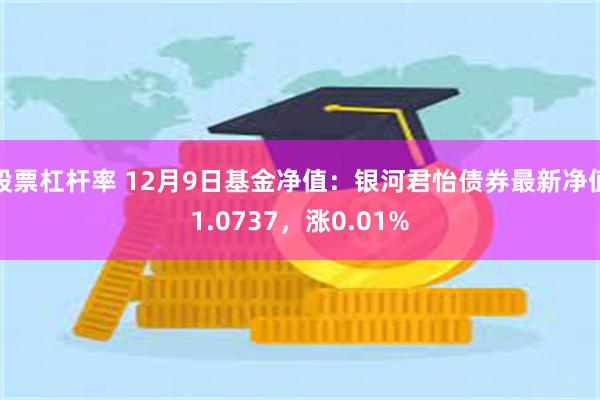 股票杠杆率 12月9日基金净值：银河君怡债券最新净值1.0737，涨0.01%