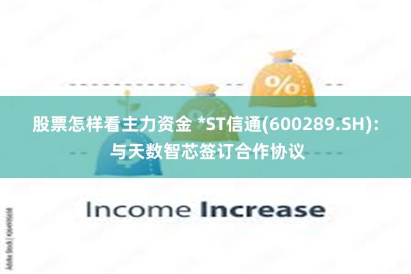 股票怎样看主力资金 *ST信通(600289.SH): 与天数智芯签订合作协议