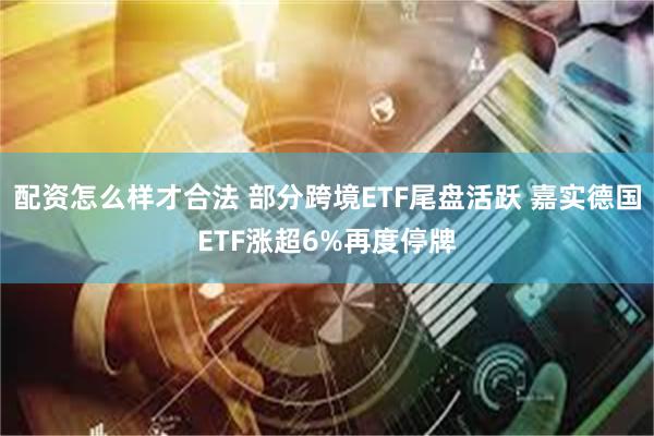 配资怎么样才合法 部分跨境ETF尾盘活跃 嘉实德国ETF涨超6%再度停牌